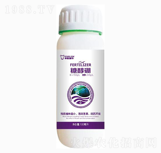 �Ǵ���-��ɭ�߿�