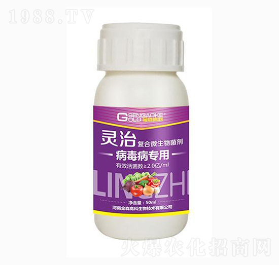 �����������͏�(f��)��΢�������-�`��-��ɭ�߿�