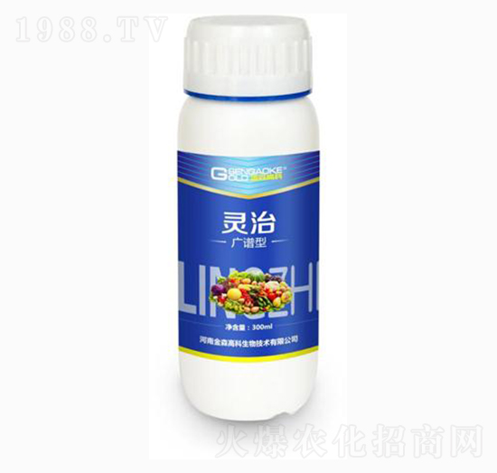 �V�V�͏�(f��)��΢�������-�`��-��ɭ�߿�