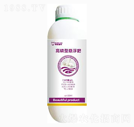 �����͑Ҹ���-��ɭ�߿�