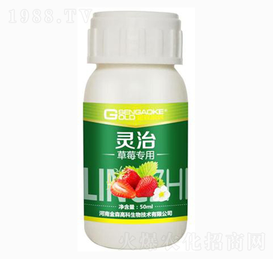 ��ݮ�����͏�(f��)��΢�������-�`��-��ɭ�߿�