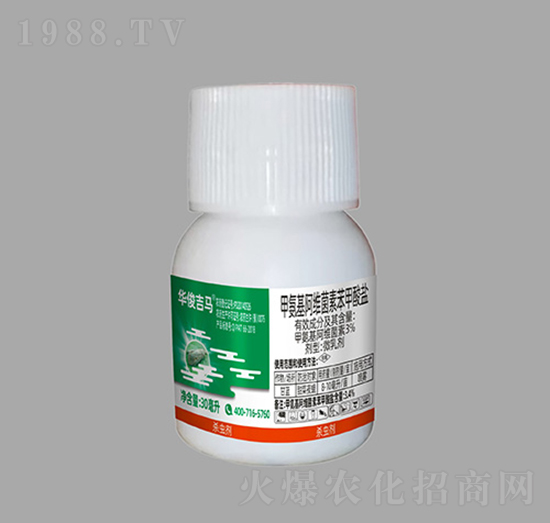 3%�װ������S���ر������}-�A�����R-��ɭ�߿�