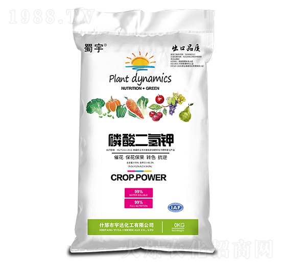 �������� ���� ���_(d��)����