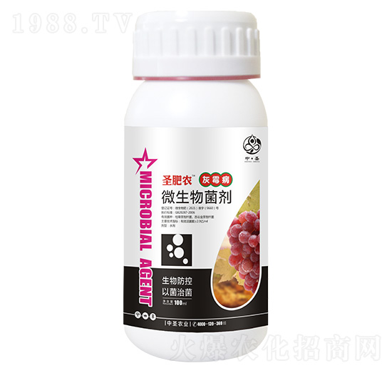 ƿ�b��ù������΢�������-ʥ���r(n��ng)-��ʥ�r(n��ng)�I(y��)