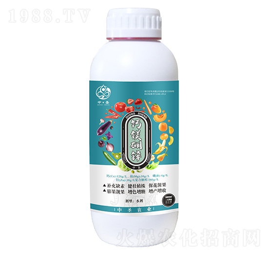 �}�V���\-��ʥ�r�I(y��)