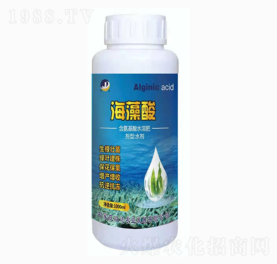 ������ ���_