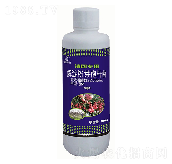 ��@���ý����ѿ�ߗU��-��ʢ��ɽ