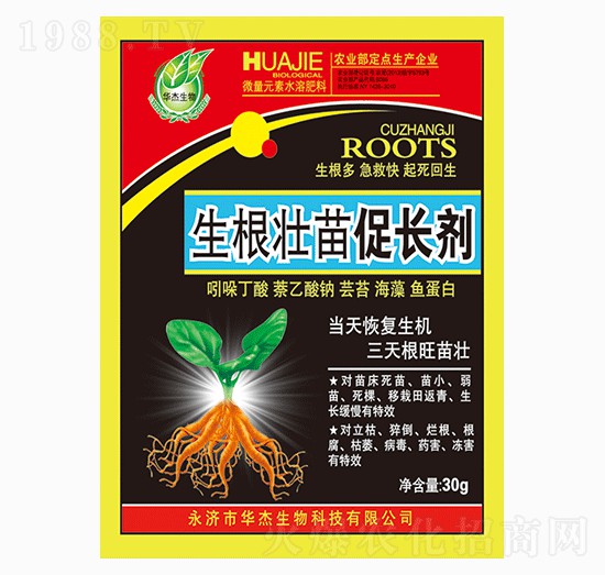 ����������L��-�A������