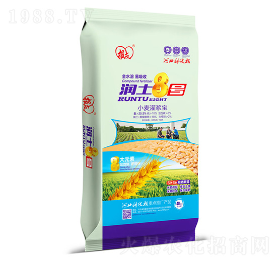 С�����{�� ��(r��n)��8̖(h��o) �����