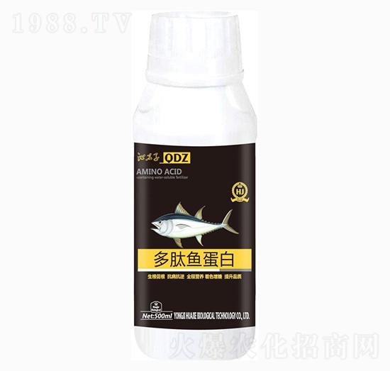 �����~(y��)����-�A������