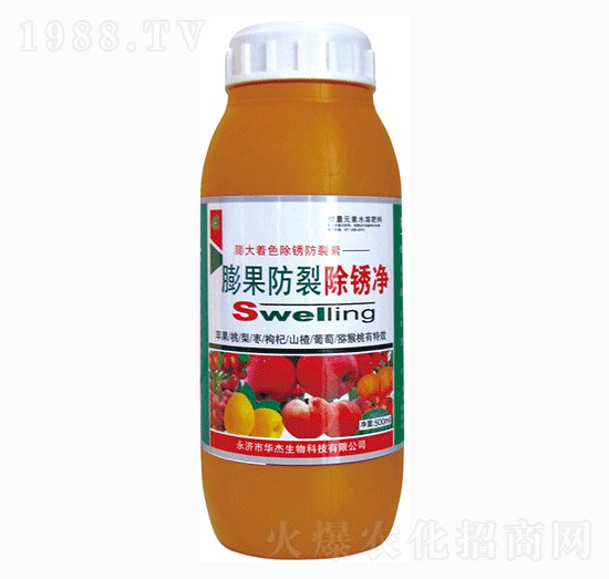 ������ѳ��P��-�A������