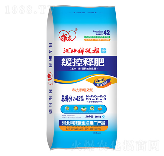 ����ጷ�26-8-8 �����