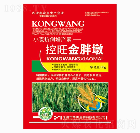 �������ֶ�-�A������