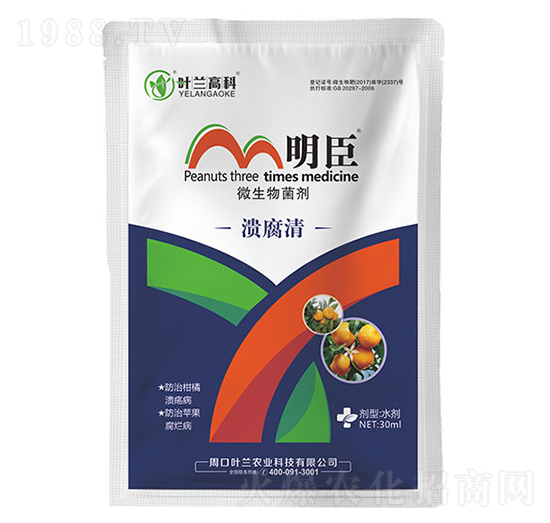 ������-����-�~�m�߿�