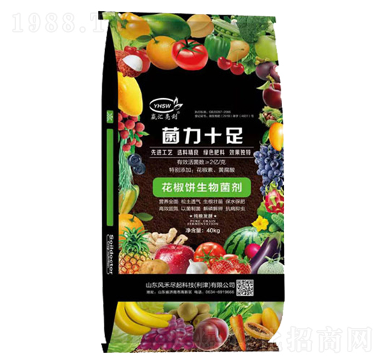 ������������-����ʮ��-���R����