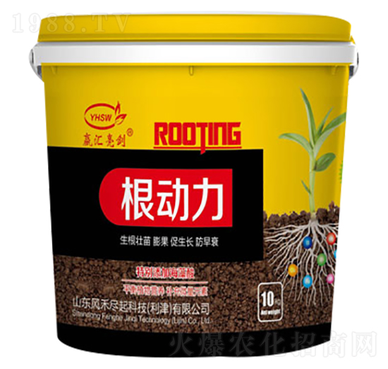 ������-���R����