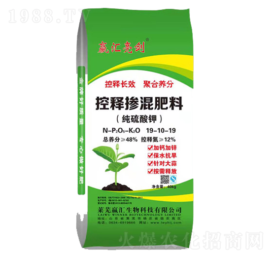 ��ጓ������19-10-19-���R����