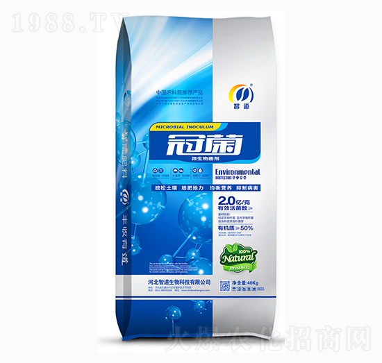 2�|΢�������-�ھ�-�ǵ�