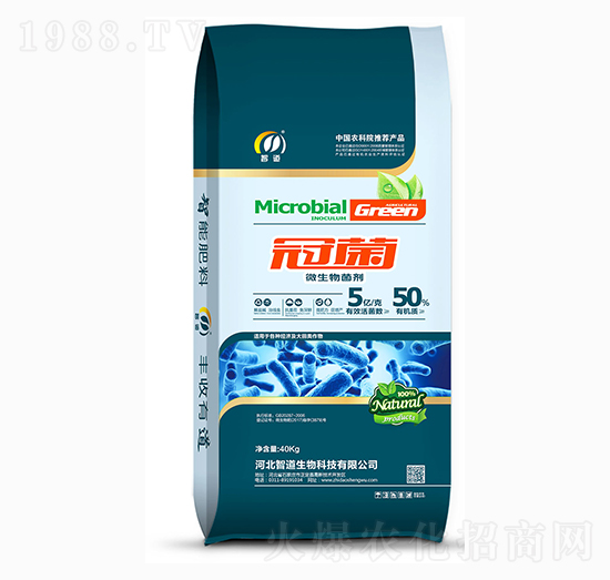 5�|΢�������-�ھ�-�ǵ�