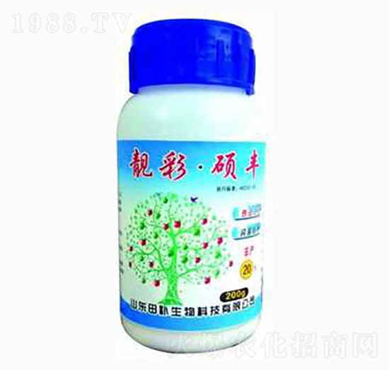 ���ʴT�S-���a