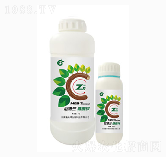 �Ǵ��\-����m-��ؾG