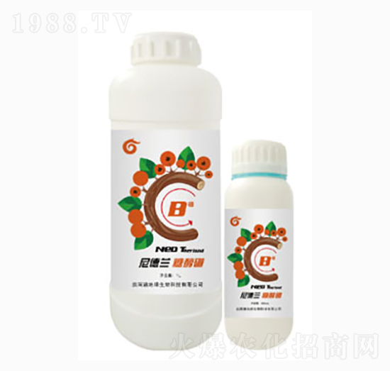 �Ǵ���-����m-��ؾG