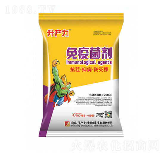 ���߾���-���a(ch��n)��