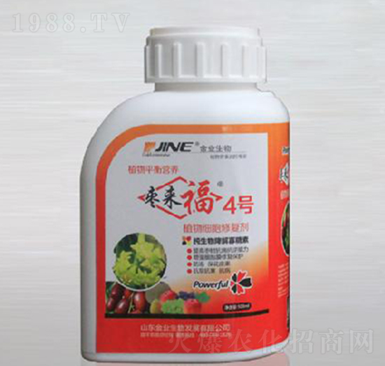 ֲ�：(x��)���ޏ�(f��)��-������4̖-��I(y��)����