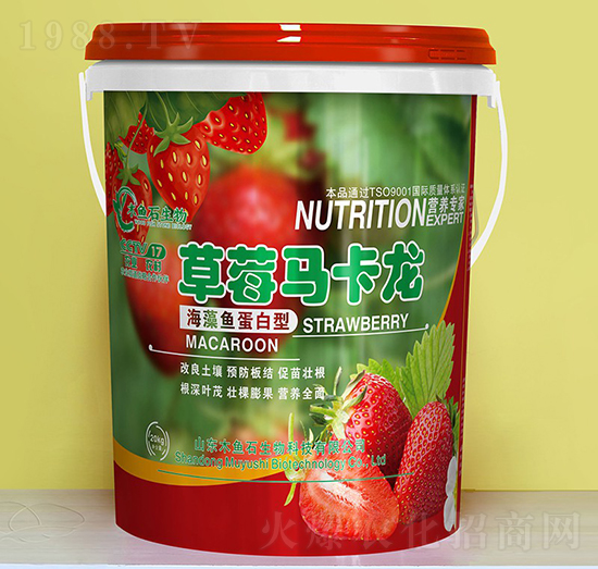 �����~������-��ݮ�R����-ľ�~ʯ����