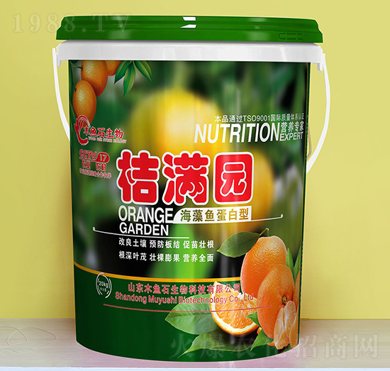 �����~(y��)������-�۝M�@-ľ�~(y��)ʯ����