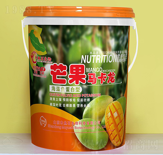 �����~������-â���R����-ľ�~ʯ����