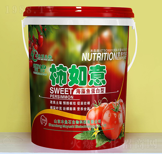 �����~������-������-ľ�~ʯ����