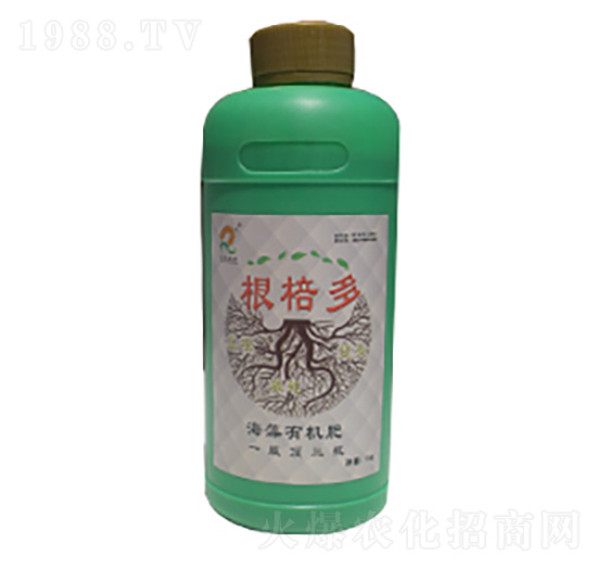 �����ЙC��-������-�ʺ̶��S