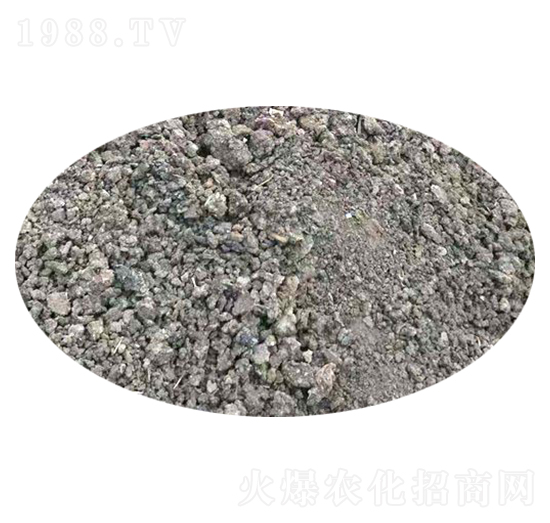 �K���g���S-�f�Z���r(n��ng)�I(y��)