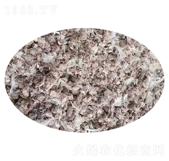 �w���g���S-�f�Z���r(n��ng)�I(y��)