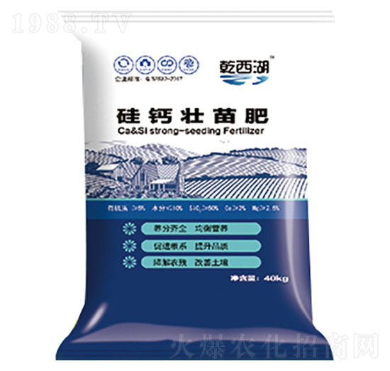 ���}�����-ʥ������