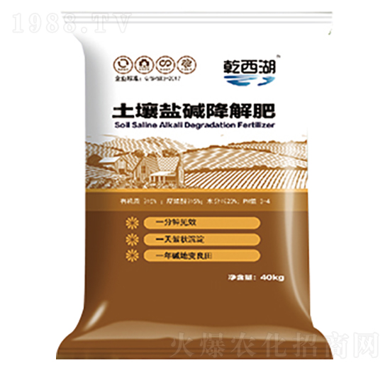 �����}�A�����-ʥ������