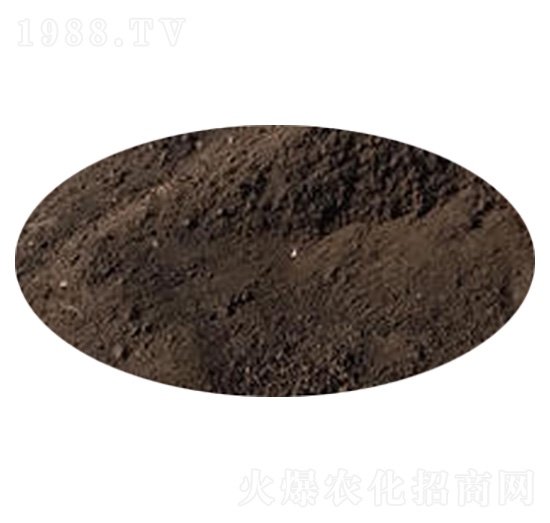 ���켃��S-�_(k��i)���r(n��ng)�I(y��)