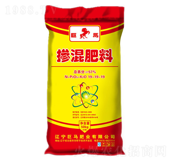 �������19-19-19-���R�ʘI(y��)