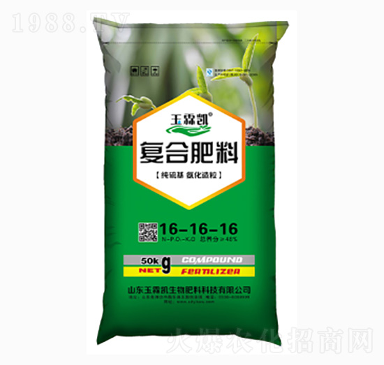 ��(f��)�Ϸ���16-16-16-���؄P����