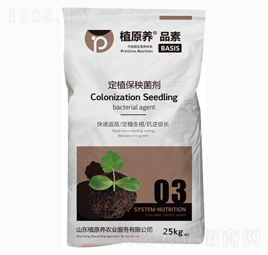 ��ֲ��������-ֲԭ�B(y��ng)�r�I(y��)