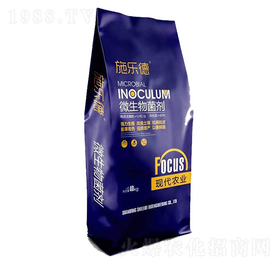 40kg΢�������-ʩ��(l��)��-��(r��n)�R��