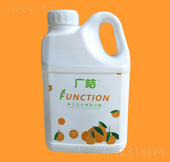 ���ﵰ��ø-�V��-�G���r(n��ng)