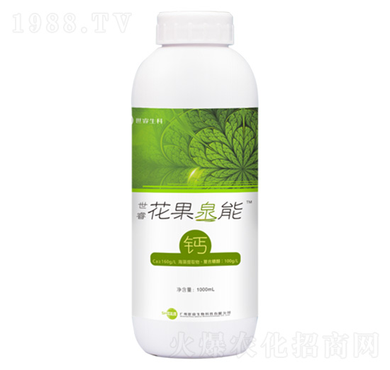 ��������Ȫ���}-�������