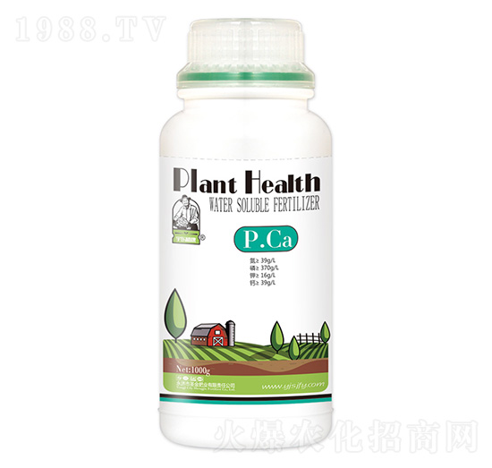 P.Ca-ʥ��ʘI(y��)