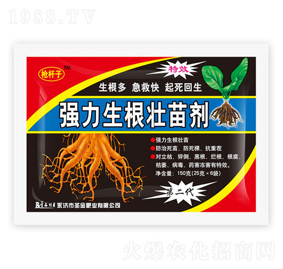 �����������焩-ʥ��ʘI(y��)