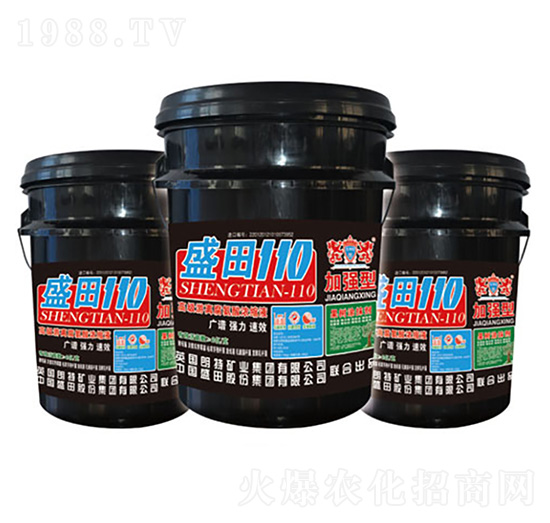 �߼�(j��)���x�������sҺ-ʢ��110-ʢ������