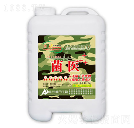 ���t(y��)-ʢ������