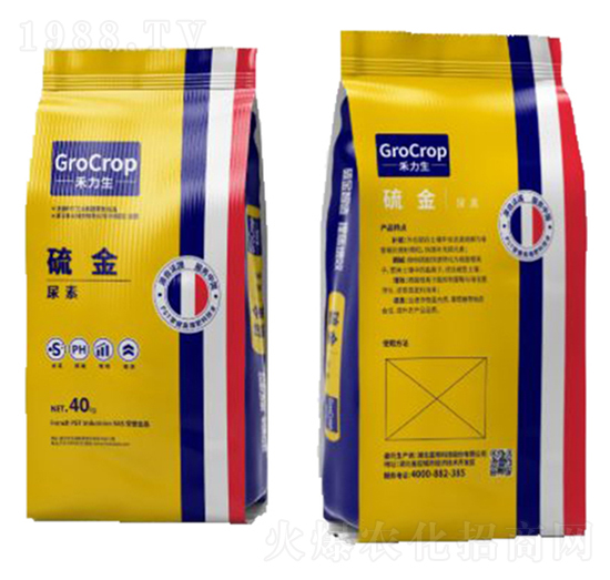 �A�w�������/�Ȼ��-���-����Ƽ�