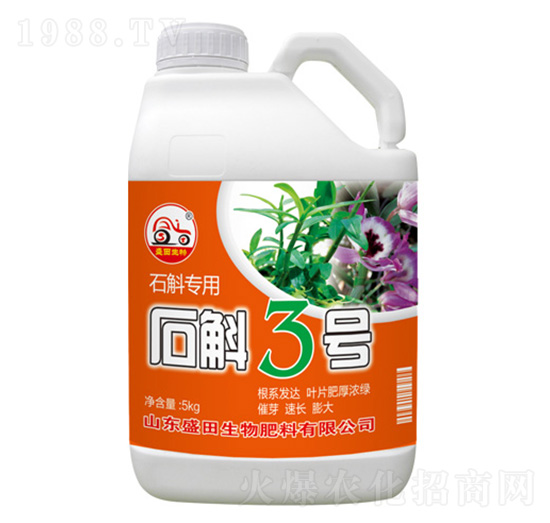 ʯ������3̖-ʢ������